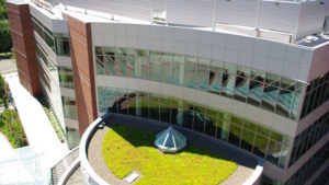 green roof