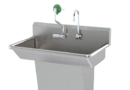 Sink with Eye/Face Wash