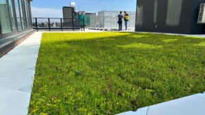 Siplast ParaGREEN Extensive layered vegetative roof
