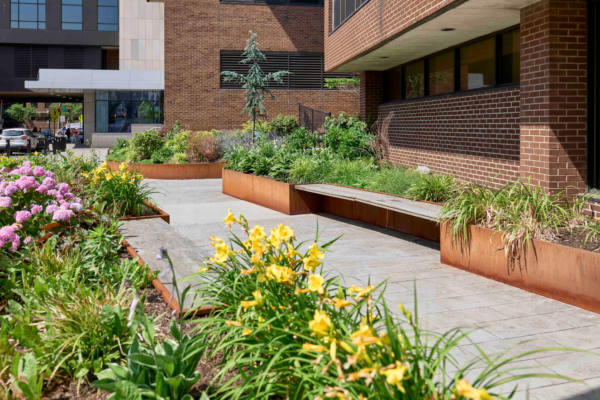 Pocket gardens present an effective and impactful opportunity to enhance well-being and community connectivity while prioritizing environmental responsibility. 